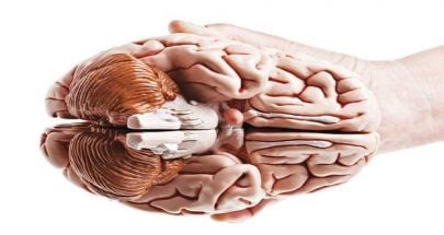 ما هي العوامل التي تؤدي الى اضطراب وظائف الدماغ؟ image
