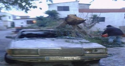 سقوط شجرة على سيارة في بلدة الحوشب عكار بسبب سرعة الرياح image