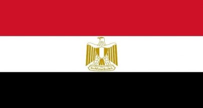 القاهرة أوقفت ألمانيا ورحلت آخر بعد الاشتباه في سعيهما الى الانضمام الى المتطرفين image
