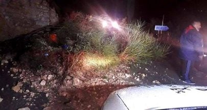 سقوط شجرة وسط طريق عام بلدة النمورة في كسروان image