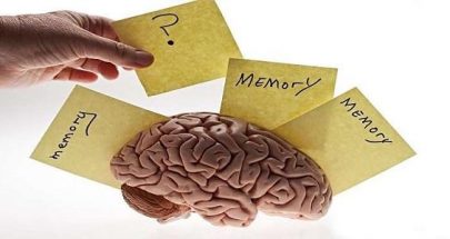 الدماغ البشري يعمل بشكل عكسي لاستعادة الذكريات! image