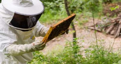 وزير البيئة يدعو لحماية النحل والتنوع البيولوجي المهدد عالمياً image