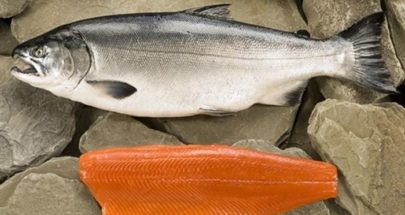 خبراء تغذية: هذه هي الأسماك الأكثر فائدة صحية image