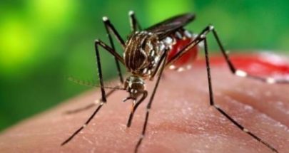 اكتشاف هام قد يوقف انتشار الملاريا عبر خداع البعوض image