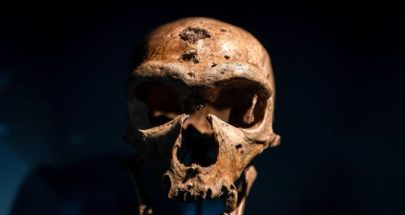 ‏اكتشاف مذهل لنوع من البشر كان يعيش قبل 500 ألف عام‏ image