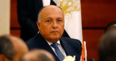 وزير الخارجية المصري يبدأ جولة خليجية image