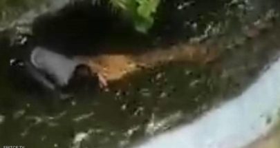 تمساح يعاقب سائحا بقسوة بعد "خدعة البلاستيك" image