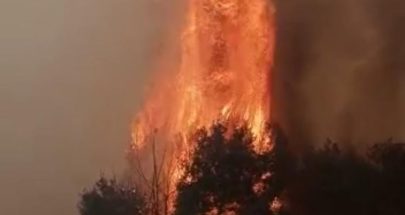 بالفيديو: حريق كبير في منطقة بسوس على تخوم مدينة عاليه image