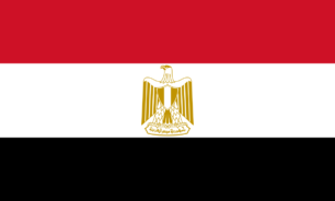 مصر.. احباط محاولة لتهريب كمية من أقراص "الترامادول" إلى السعودية image