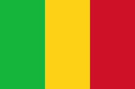 مقتل 30 إرهابيا في مالي image