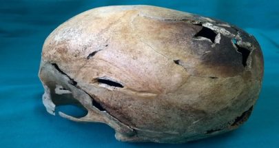 الولايات المتحدة.. العثور على جمجمة عمرها 8 آلاف عام في نهر بمينيسوتا image
