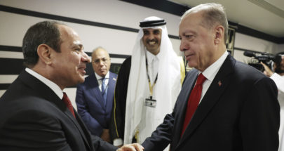 نائب أردوغان: تطبيع العلاقات مع مصر مستمر image