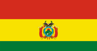 بوليفيا تحدد موعدًا لإحصاء سكاني حاسم image