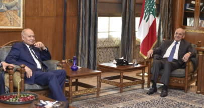 أبو الغيط: لبنان سوف يخرج بالتأكيد من الأزمة image