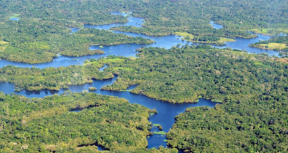 لولا دا سيلفا دعا الى إنشاء شرطة فدرالية لحماية غابات الأمازون image