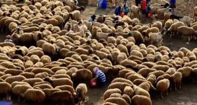 صغار مربّي الماشية منزعجون من "المشتية" image