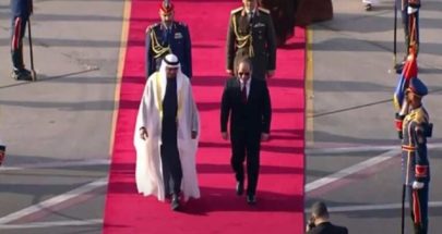 زيارة رسمية جمعت رئيس دولة الإمارات بالرئيس المصري image