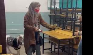 بالفيديو: إمرأة تركية تدلي بصوتها رفقة غنمتها image