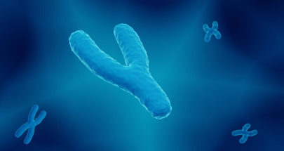 "كروموسوم" Y يتلاشى وجين جنسي بديل قد يعني "ظهور أنواع بشرية مختلفة" image