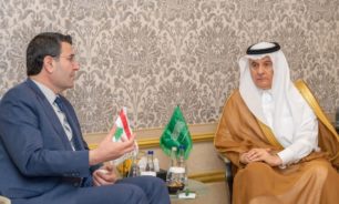 وزير الزراعة: اتفاق مع السعودية على توحيد الجهود لتحقيق الامن الغذائي image