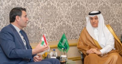 وزير الزراعة: اتفاق مع السعودية على توحيد الجهود لتحقيق الامن الغذائي image