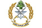 الجيش: توقيف شخصين في بلدتي العريضة والعمارة image