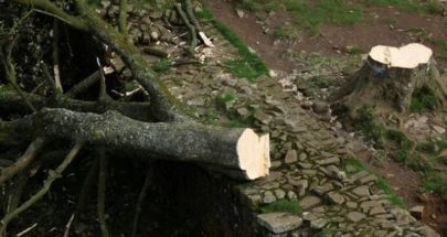 بريطانيا.. غضب كبير بسبب قطع شجرة "روبن هود" الشهيرة image
