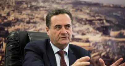وزير الخارجية الإسرائيلي يدعو لإجراءات دولية حازمة ضد إيران image