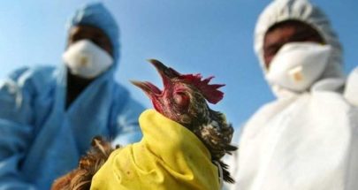 الصحة العالمية تتخوف من تفشي إنفلونزا الطيور بين البشر: "أخطر من كوفيد 19" image