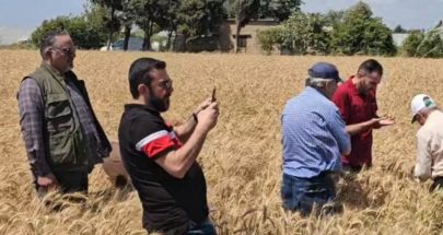خبراء من وزارة الزراعة و"أكساد" و"الفاو" تفقدوا حقول القمح الطري في بعلبك image