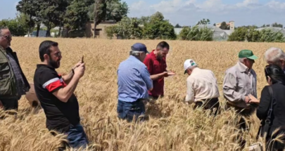 خبراء من وزارة الزراعة و"أكساد" جالوا على حقول القمح الطري في عكار image
