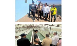 وزير الزراعة زار أكبر أحواض الاستزراع السمكي في بور سعيد image