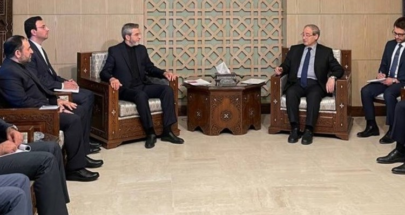 باقري كني يلتقي وزير الخارجية السوري image
