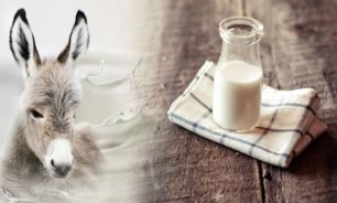 خصائص غير شائعة لحليب الحمير image
